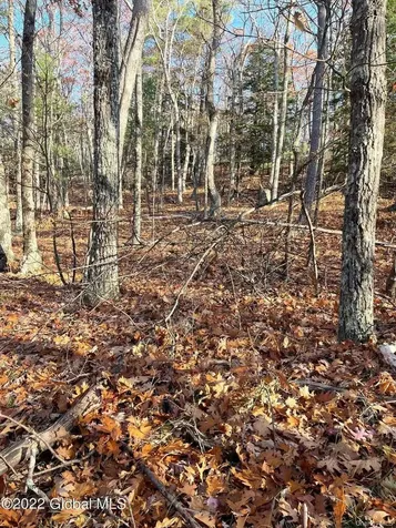 L26 & L27 Ecker Hollow Road Cobleskill NY 12043