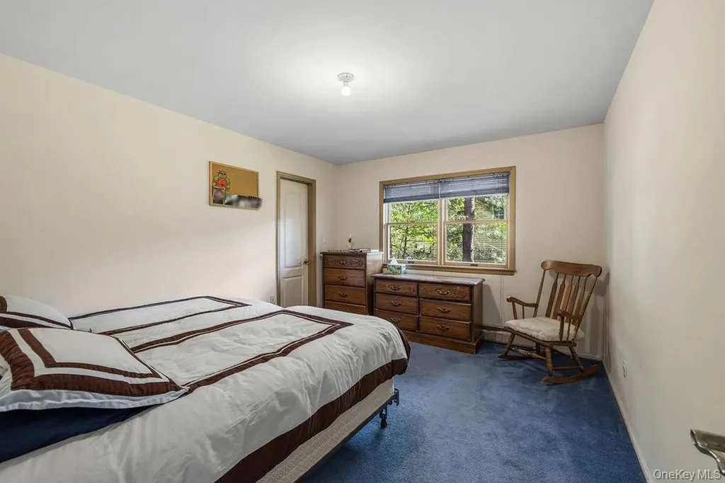 10 Elyise Road Monsey NY 10952