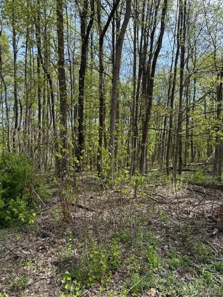 Route 300 Newburgh NY 12550
