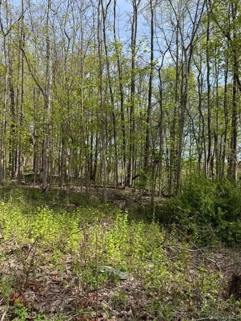 Route 300 Newburgh NY 12550