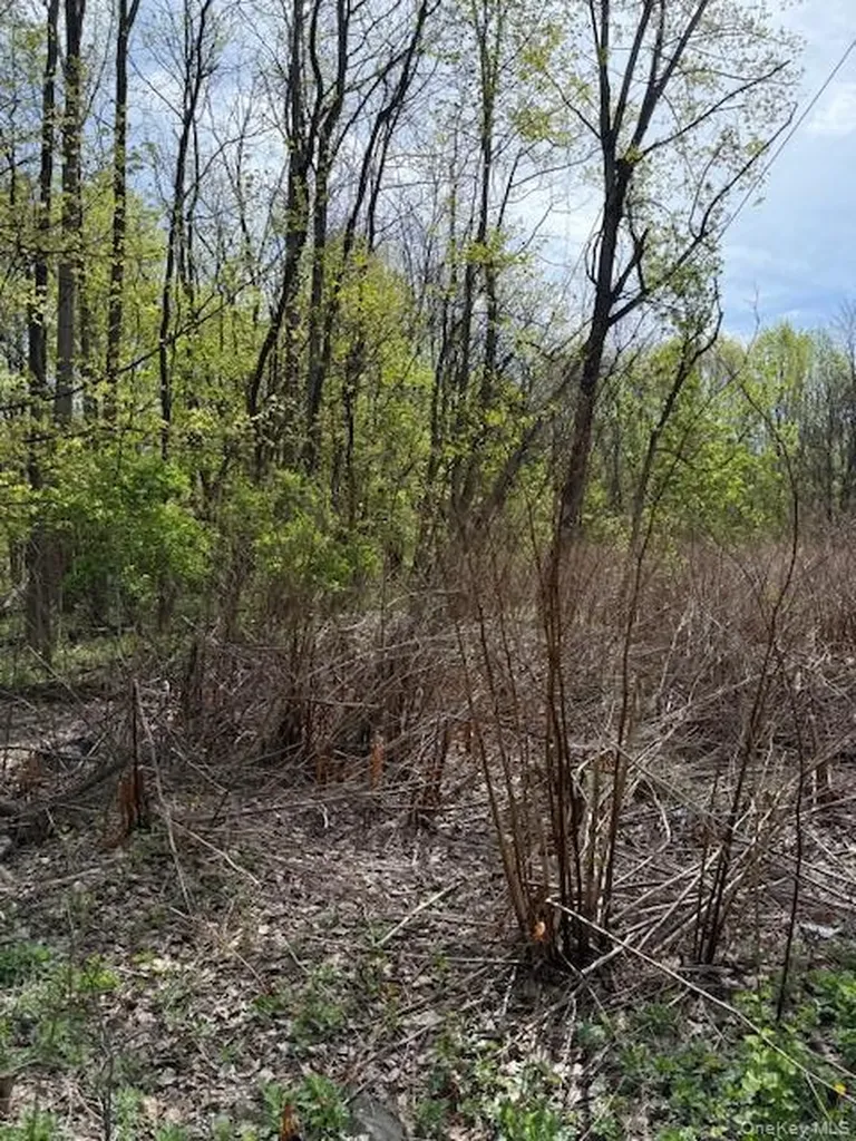 Route 300 Newburgh NY 12550