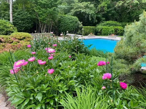 10 Cypress Point Drive Purchase NY 10577