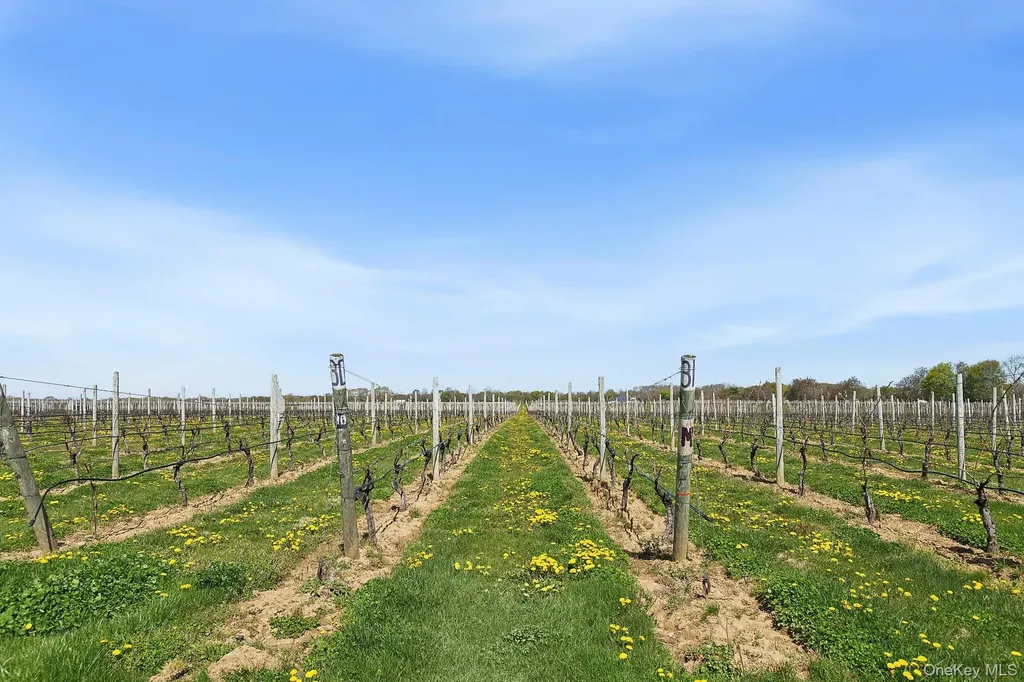 46975 Main Road Southold NY 11971
