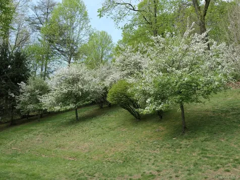 77 Central Drive Briarcliff Manor NY 10510