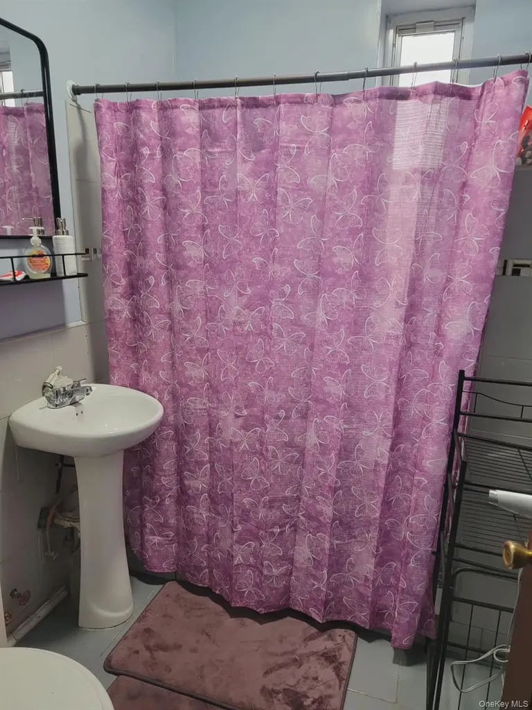 567 Ashford Street Brooklyn NY 11207
