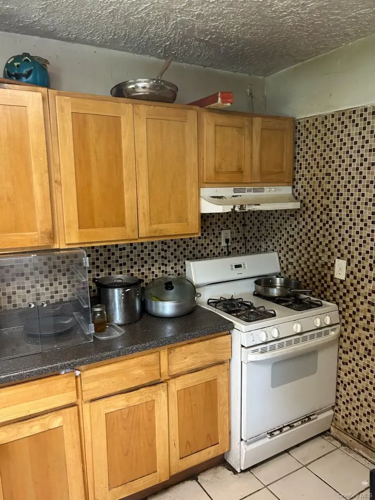 193 Centennial Avenue Roosevelt NY 11575
