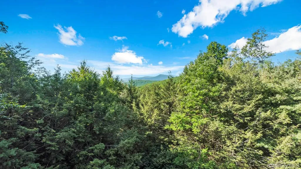 376 Abbey Road Mount Tremper NY 12457