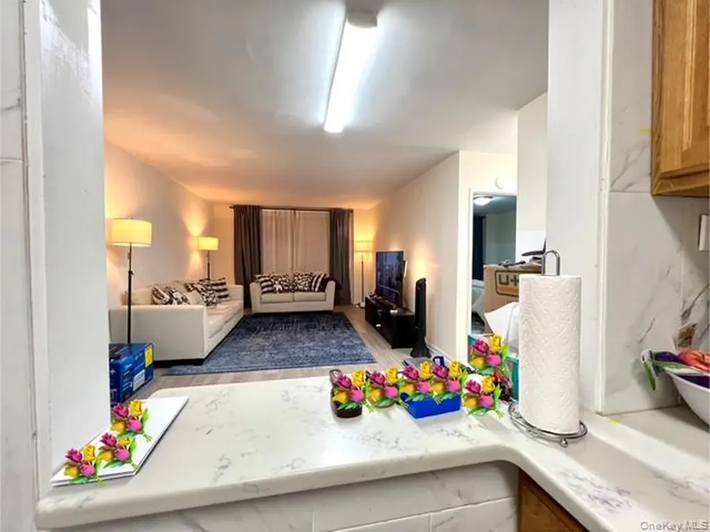 222-89 Braddock Avenue Bellerose NY 11428
