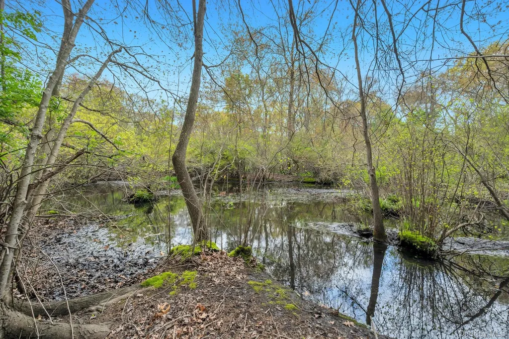 79 Brooksite Drive Smithtown NY 11787
