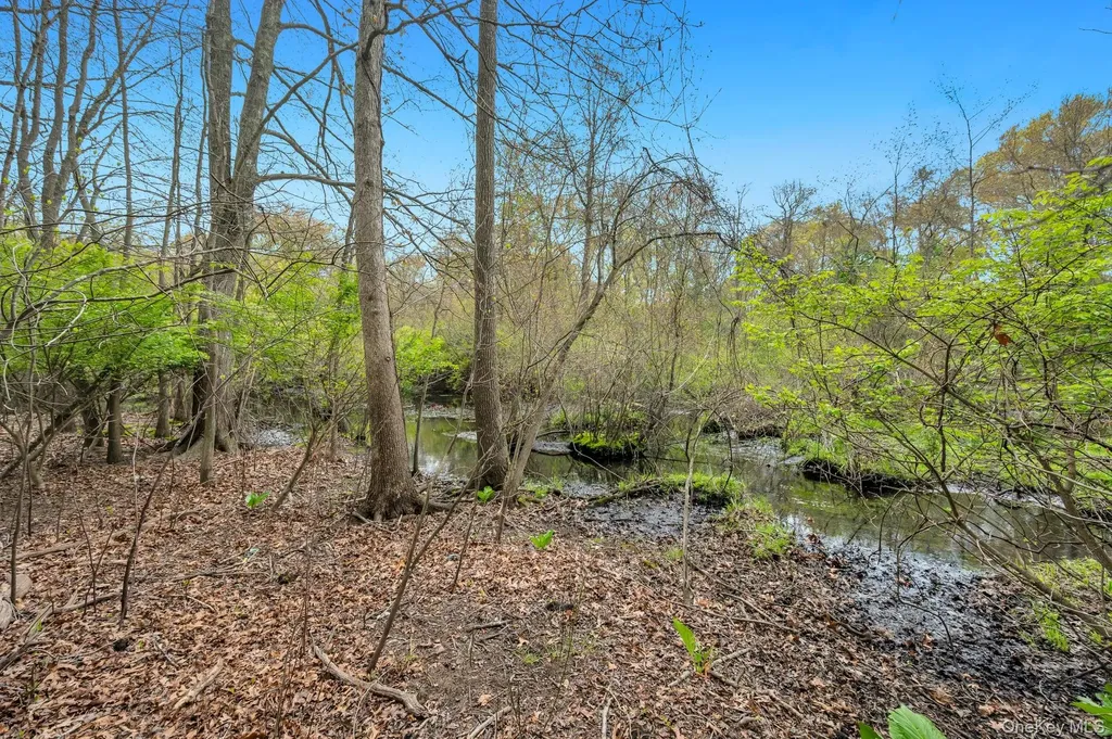 79 Brooksite Drive Smithtown NY 11787