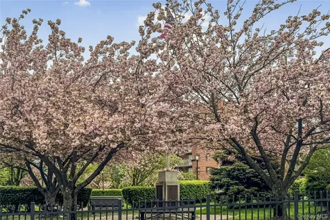 377 Westchester Avenue Port Chester NY 10573
