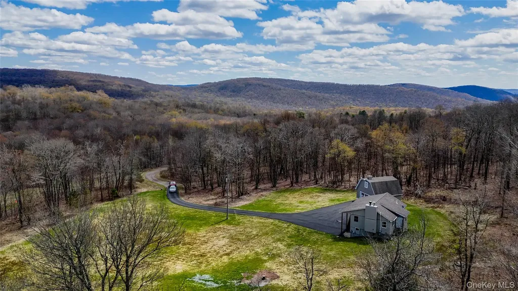 1029 Spring Brook Estates Road Roscoe NY 12776