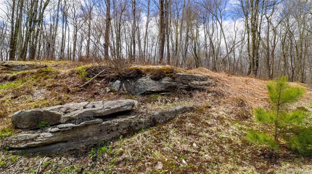 1029 Spring Brook Estates Road Roscoe NY 12776