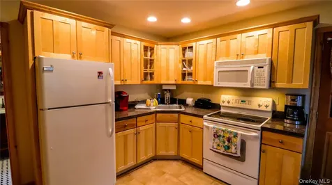 1029 Spring Brook Estates Road Roscoe NY 12776