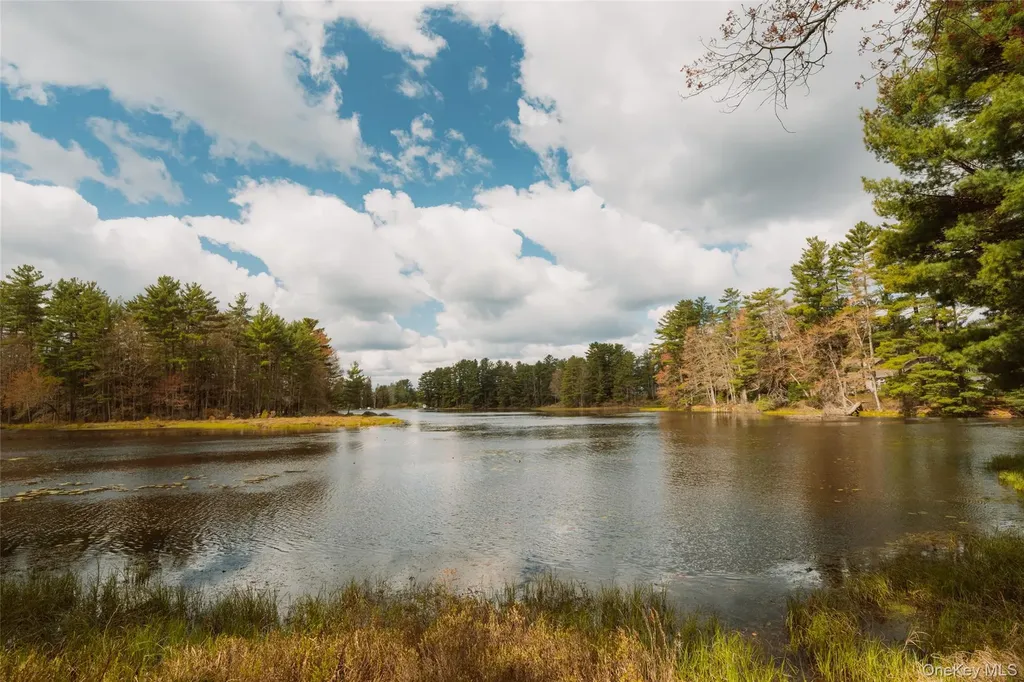4 Bradford Road Forestburgh NY 12777