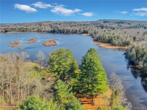 122 Jaketown Road Swan Lake NY 12783