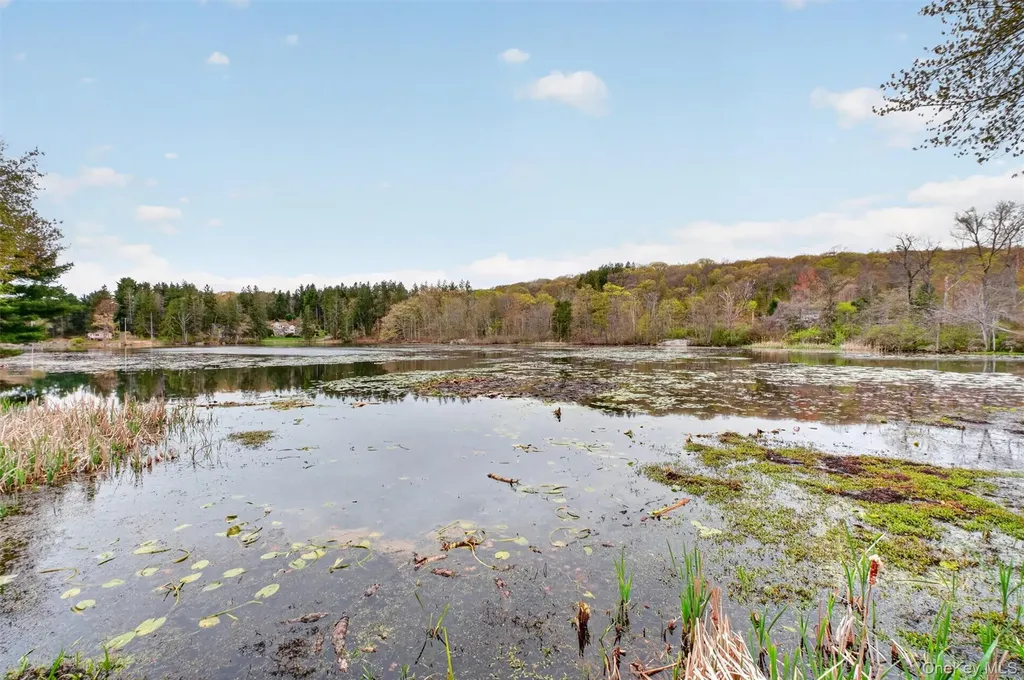 21 Kent Lake Avenue Carmel NY 10512
