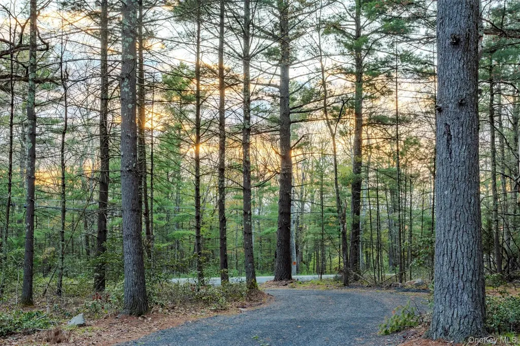 1365 Forestburgh Road Glen Spey NY 12737