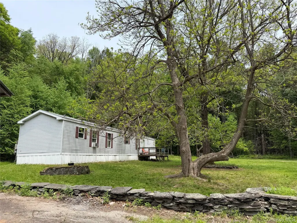 21 Hoffmann Street Hankins NY 12741