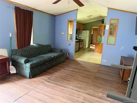 21 Hoffmann Street Hankins NY 12741
