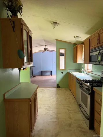 21 Hoffmann Street Hankins NY 12741