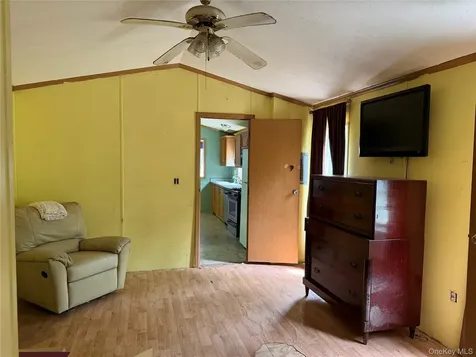 21 Hoffmann Street Hankins NY 12741