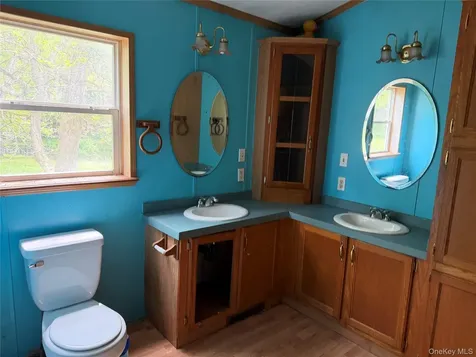 21 Hoffmann Street Hankins NY 12741