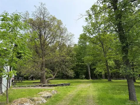 21 Hoffmann Street Hankins NY 12741