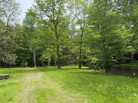 21 Hoffmann Street Hankins NY 12741
