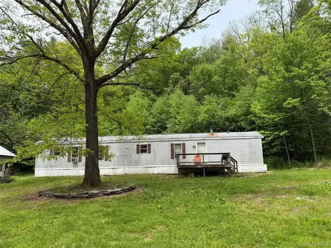 21 Hoffmann Street Hankins NY 12741