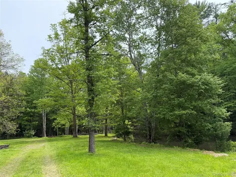 21 Hoffmann Street Hankins NY 12741