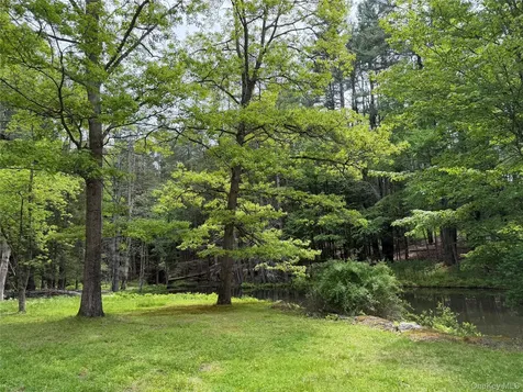21 Hoffmann Street Hankins NY 12741
