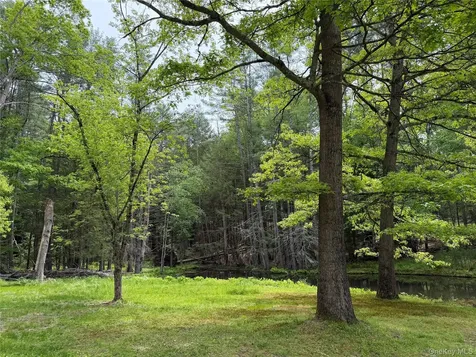 21 Hoffmann Street Hankins NY 12741