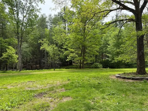 21 Hoffmann Street Hankins NY 12741