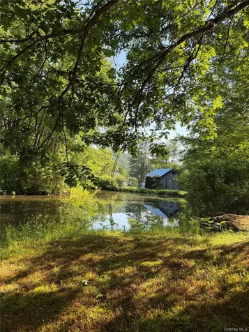 21 Hoffmann Street Hankins NY 12741