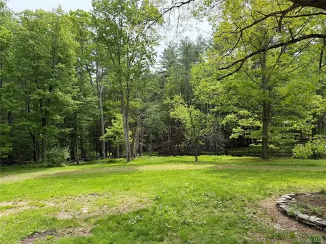 21 Hoffmann Street Hankins NY 12741