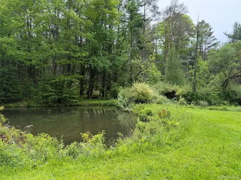 21 Hoffmann Street Hankins NY 12741