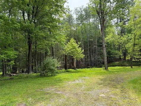 21 Hoffmann Street Hankins NY 12741