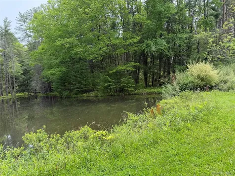 21 Hoffmann Street Hankins NY 12741