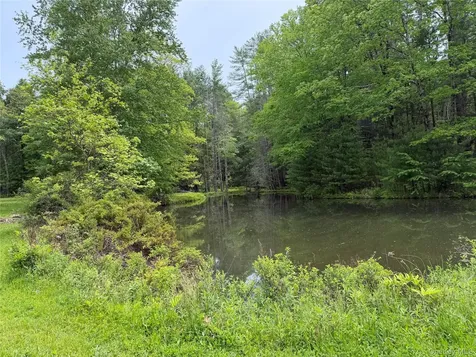 21 Hoffmann Street Hankins NY 12741