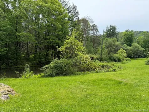 21 Hoffmann Street Hankins NY 12741