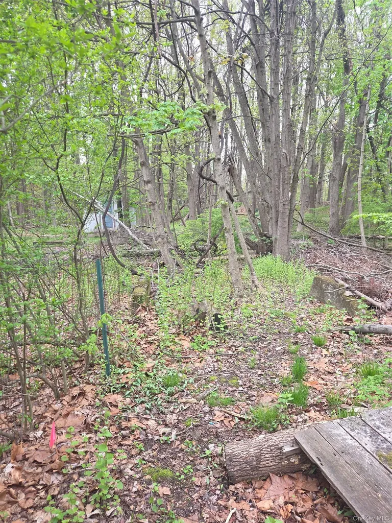 11 Eagle Valley Road Sloatsburg NY 10974
