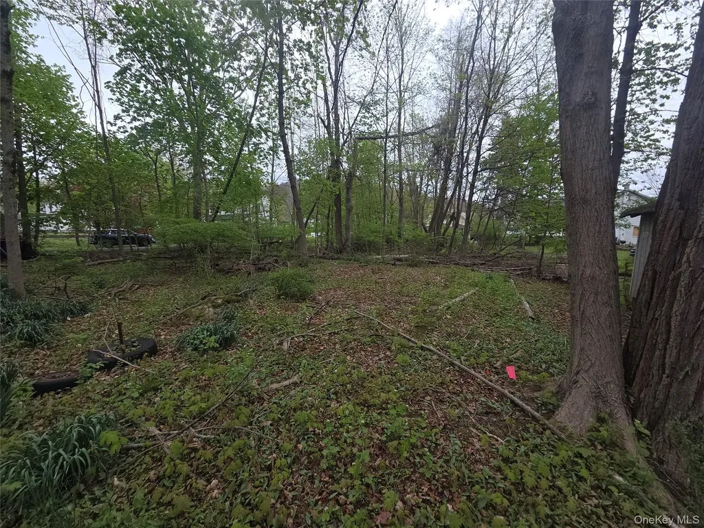 11 Eagle Valley Road Sloatsburg NY 10974