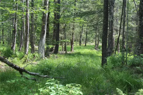 624 County Road Fremont Center NY 12736