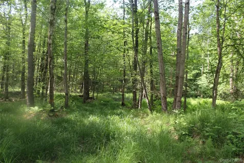 624 County Road Fremont Center NY 12736