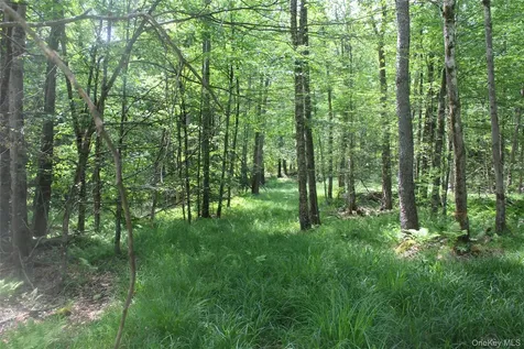 624 County Road Fremont Center NY 12736