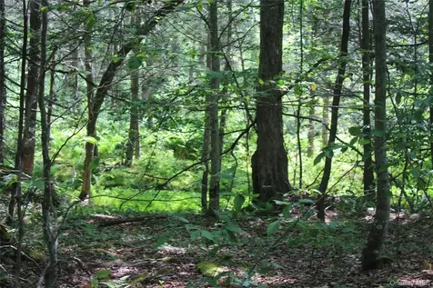 624 County Road Fremont Center NY 12736