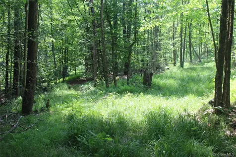 624 County Road Fremont Center NY 12736