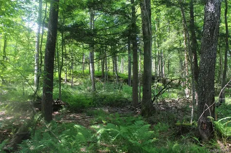 624 County Road Fremont Center NY 12736