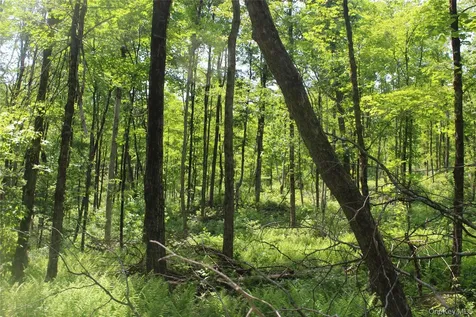 624 County Road Fremont Center NY 12736